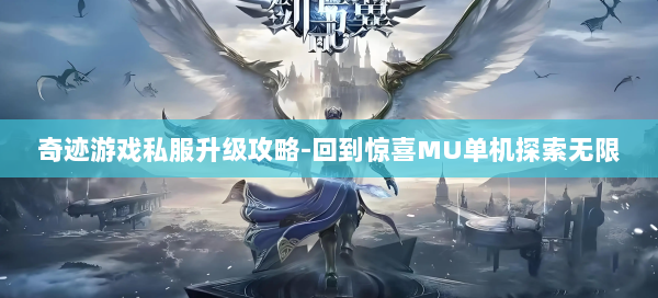 奇迹游戏私服升级攻略-回到惊喜MU单机探索无限